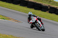 PJ-Motorsport-2019;anglesey-no-limits-trackday;anglesey-photographs;anglesey-trackday-photographs;enduro-digital-images;event-digital-images;eventdigitalimages;no-limits-trackdays;peter-wileman-photography;racing-digital-images;trac-mon;trackday-digital-images;trackday-photos;ty-croes